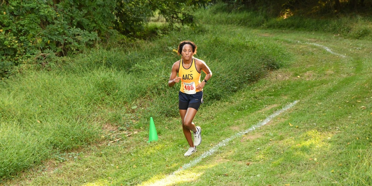 AACS Finishes 3rd In IAAM Cross Country Championship Meet